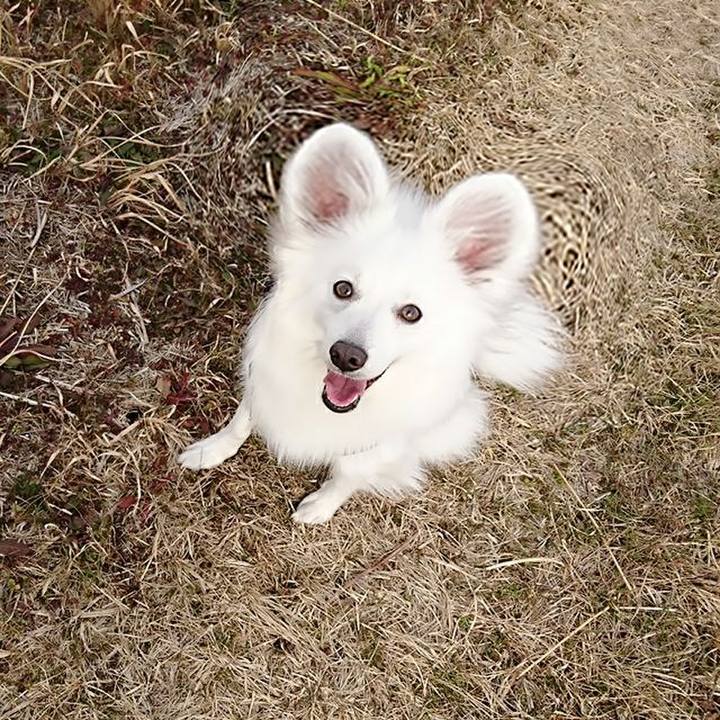 F7eea961 7034 4327 b25c 5b5b992c6e83 1518054172915