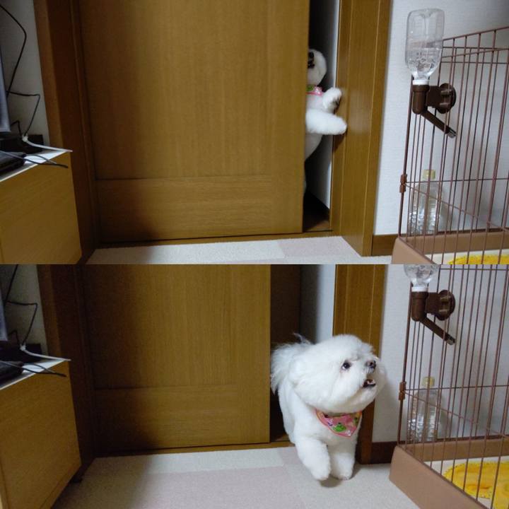 F7eecaa4 f5fa 48cd 8fca 8dd49bef2398 1622004697438