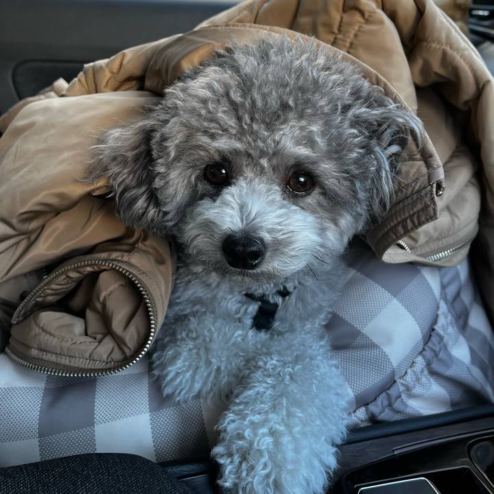 F7eed590 d7a7 40ae 87dd 709007689d2f 1767001669481