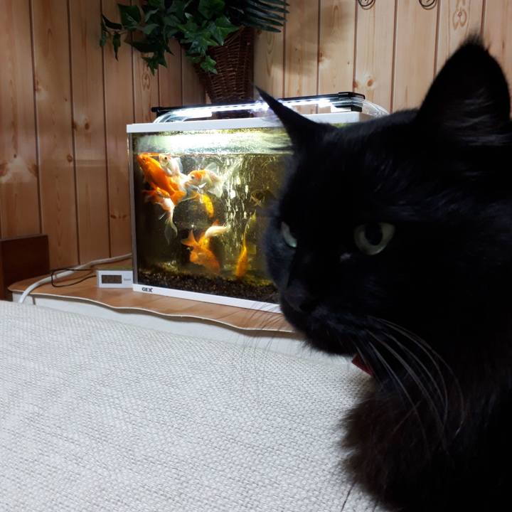 F7eed62f 39ff 43f6 8ba4 fb04e26f38b9 1517949913022