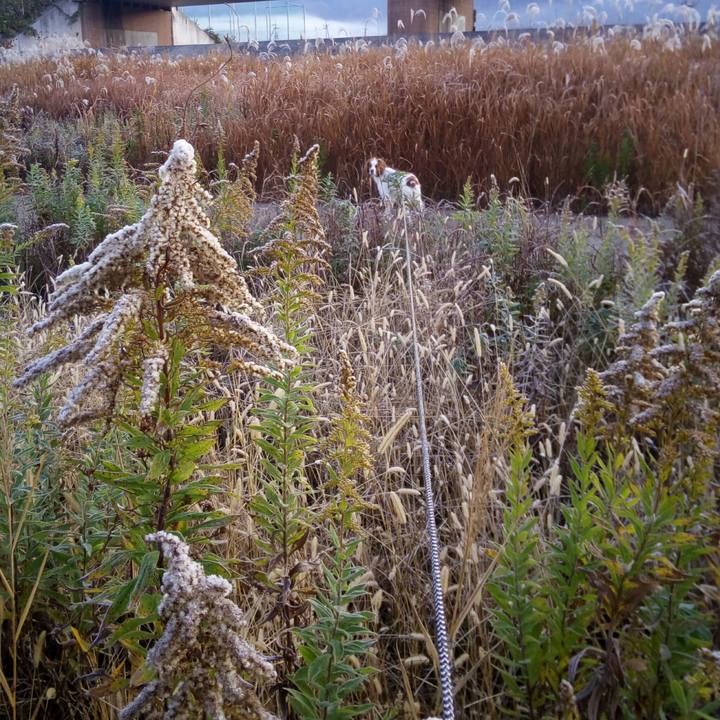 F7eee8dc a77a 496d 95ad 05260b077b98 1512171718108