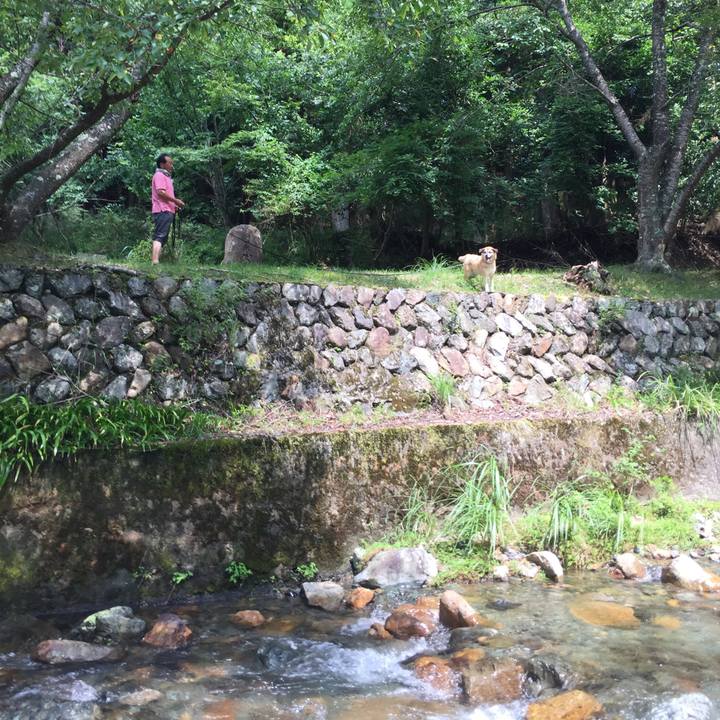 F7eee989 0a5b 4695 96ff ff8a943c70fb 1566110471929