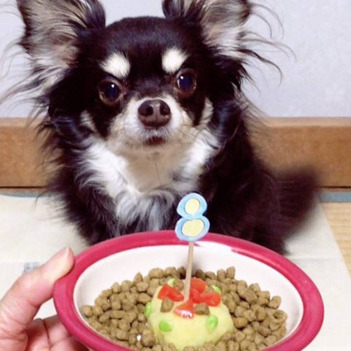 F7ef0a94 0aff 4a1a b186 df4c9a9f7eea 1525518598787