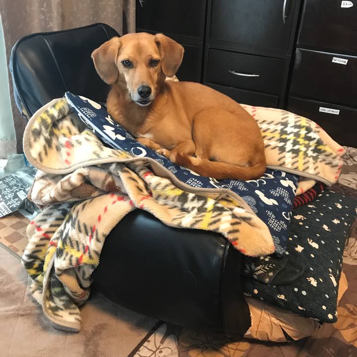 F7ef1dec 2584 4515 9523 b92b96f07c8c 1507686134446