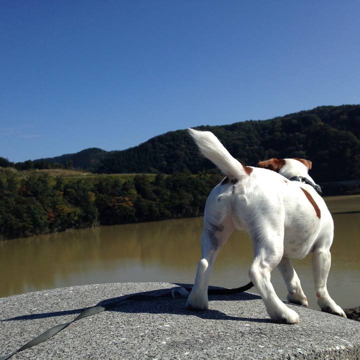 F7ef30f0 e60f 4444 9a3d 6727e2505a04 1509090632040