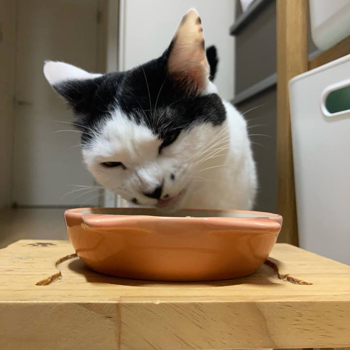 F7ef7c0f 55fd 4b3c 9b09 aa6cc3255962 1758918563334