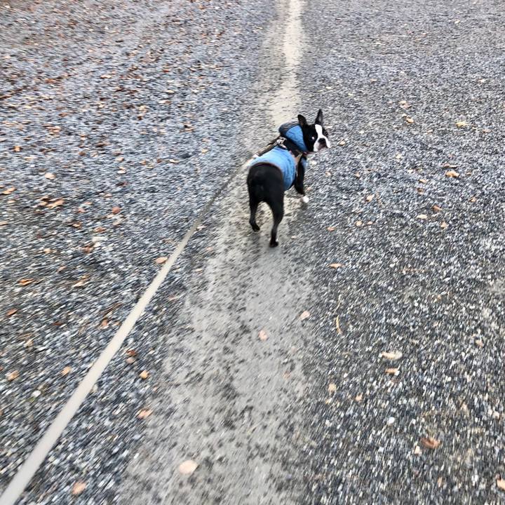 F7ef7f01 ac93 4b38 8fb3 6959673cf2a3 1511925436619