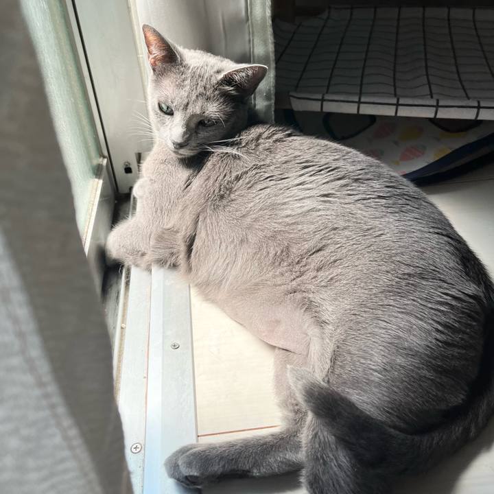 F7ef9a7f 6fe9 439c 850a e0003cb061fa 1757422224749