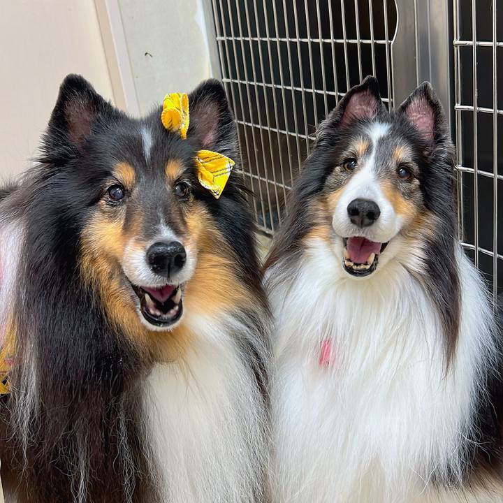 F7efaa6a 8ddb 45bf b023 b9fcf9002630 1713907603686