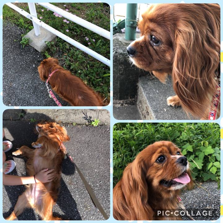 F7efb5e2 0876 4abe a7e4 7ab332ed7960 1592652686778