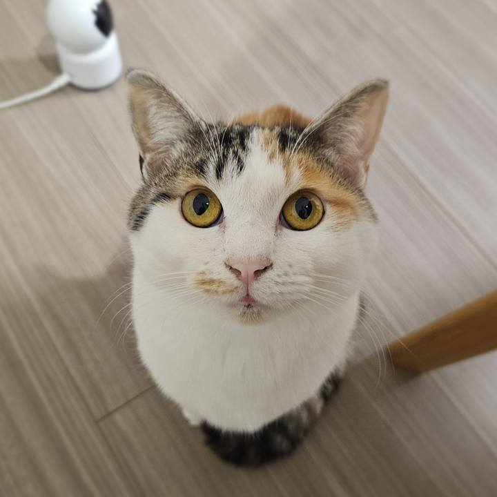 F7efbba3 424e 4186 8645 e85809a9b61d 1769341883185