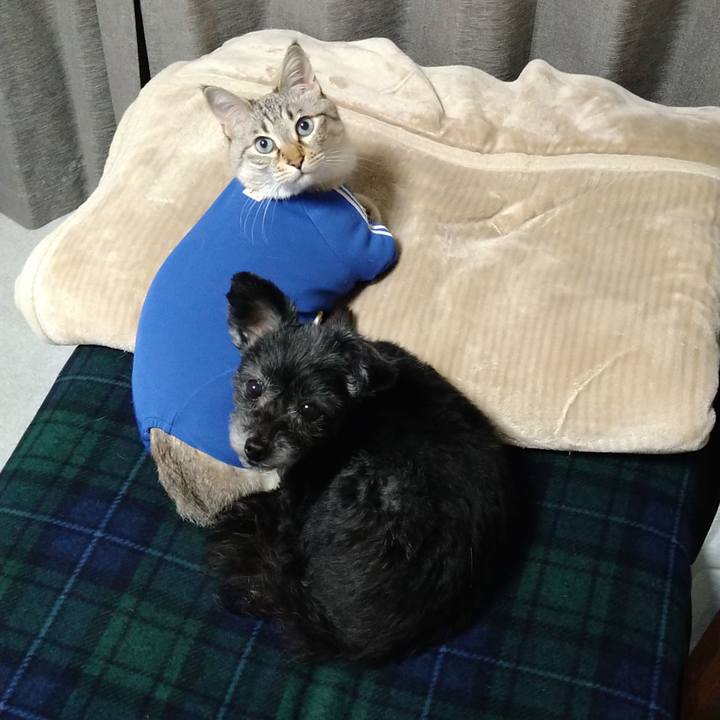 F7efc6a3 9f95 4301 a483 880290093f25 1681316884391