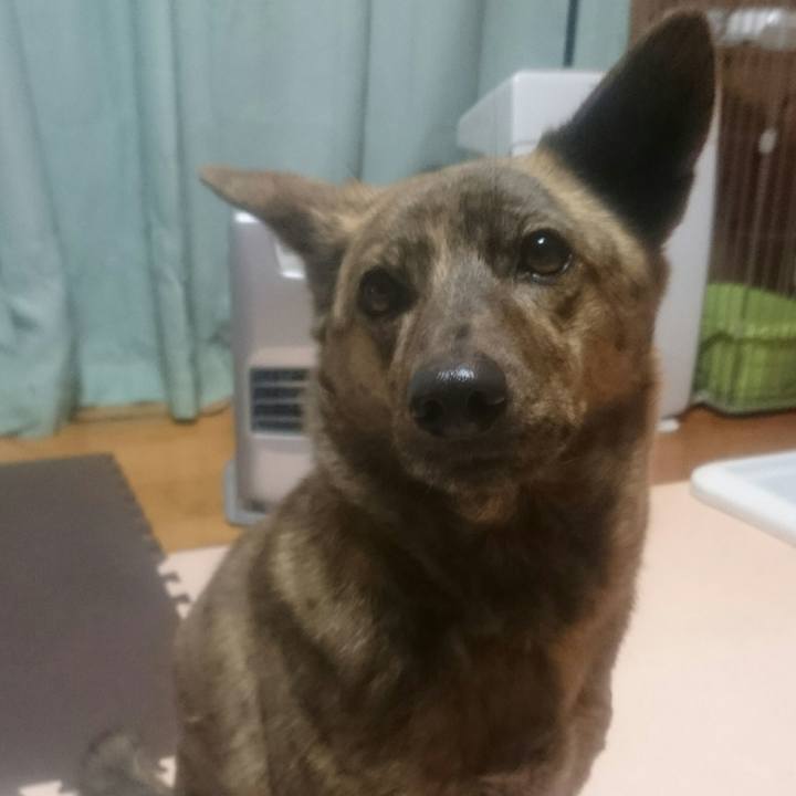 F7efe370 cbcf 4eeb 816f 2123a4d9ff33 1521625589033