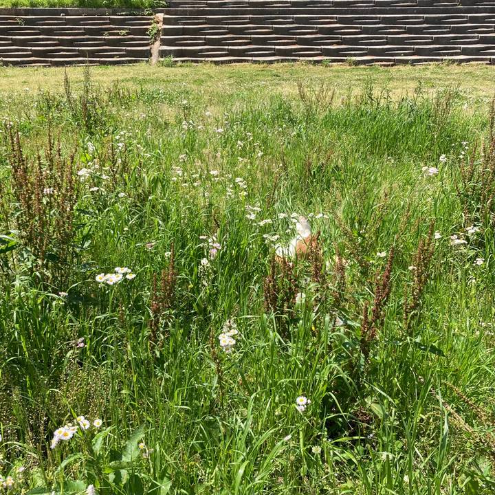 F7eff60e 24dd 4b68 bb02 95f00203e5b3 1682904001505