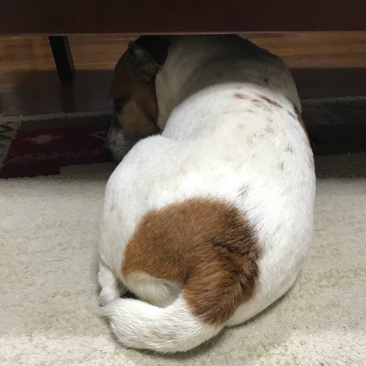 F7f038a7 fdef 4615 8094 b8fdfd87cdc4 1526908585191