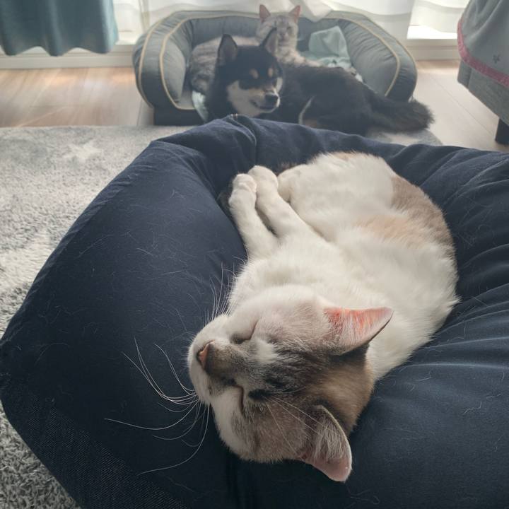 F7f056a1 a1be 44af a13b 57fc1b10b342 1651126914234