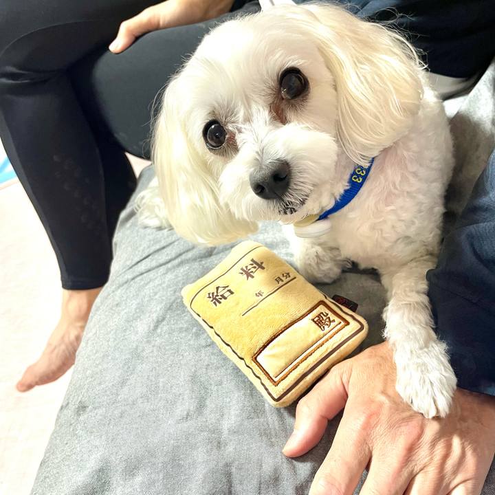 F7f057b6 bc29 49ce bdeb a033490fdb7d 1760185543743