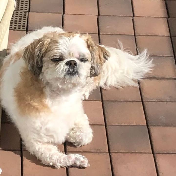 F7f091af e844 4e18 8bbe d57aff80881d 1583467320316