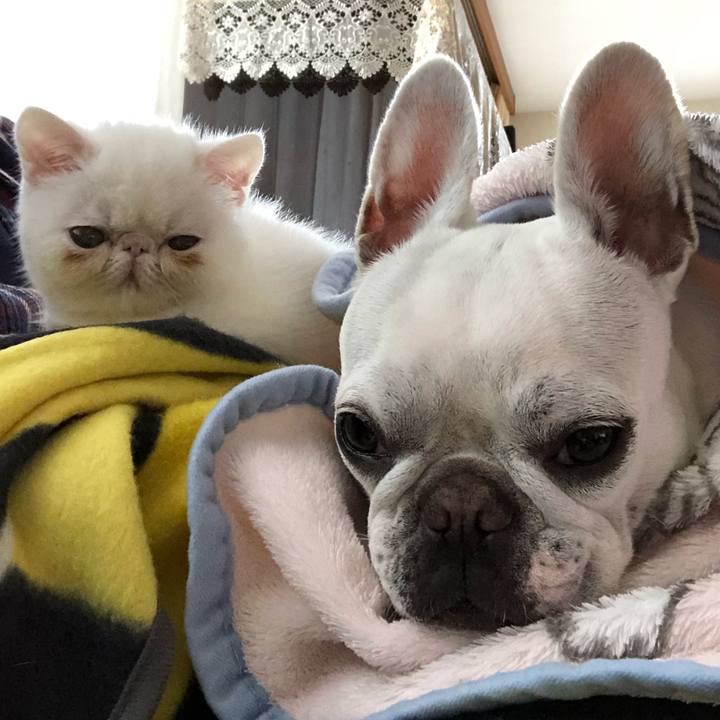 F7f094dc f0ce 4b20 8d7c b6b0af0b8314 1544350260058