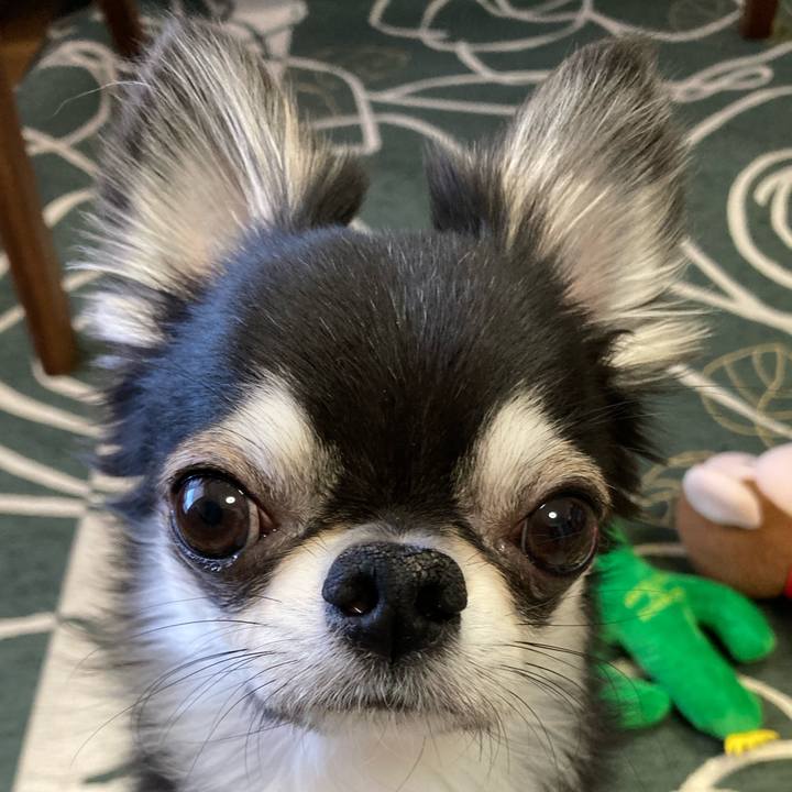 F7f0a96a 182f 4a35 b3ff 7aa790bc3ba6 1647041146427