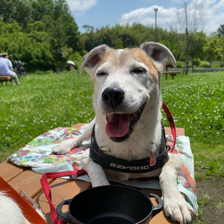 F7f0d49d e997 44b6 8e1e da1963f6fb3f 1621750790610