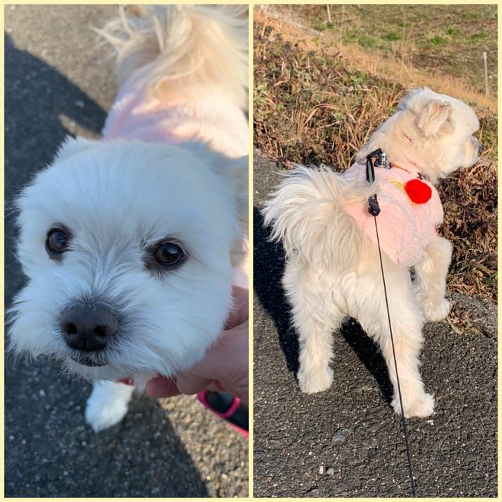 F7f0ed62 359c 4b19 9315 9f09ae97a7b6 1612594534793