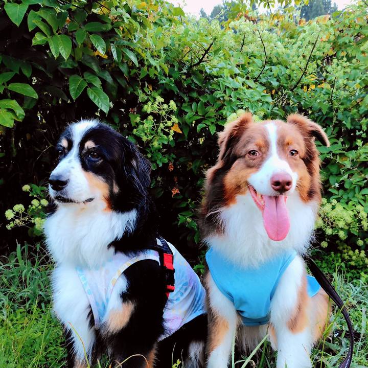 F7f10bf7 479d 4494 aae5 860b97573308 1757503282885