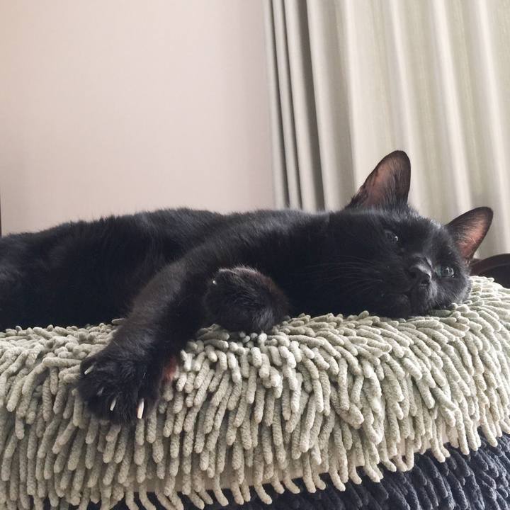 F7f13268 31d7 45e9 870e 84c0bf646b88 1534665940695