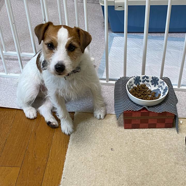 F7f154f4 de1f 4786 b8cd b67e271899fe 1711579566293