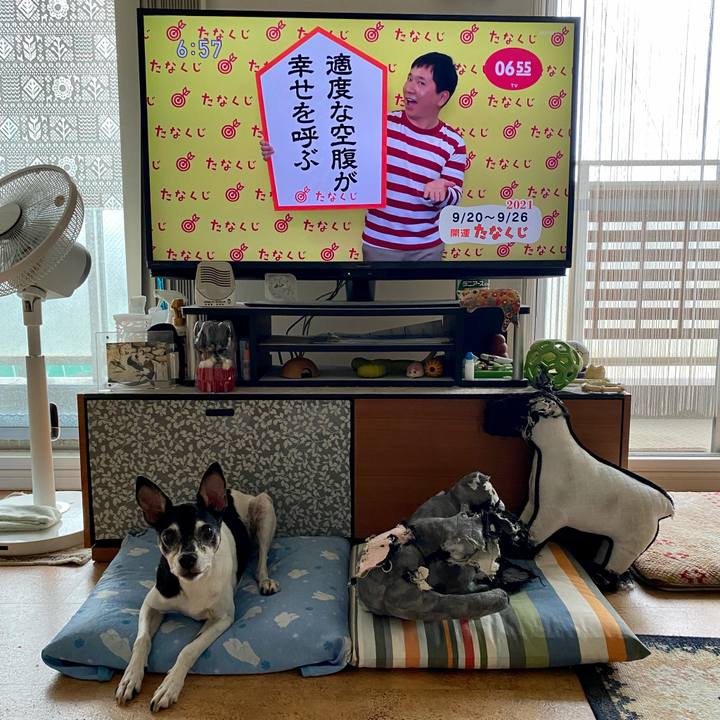 F7f1616b c9dd 49a1 a5a7 02e4e3ede0ad 1632089579372