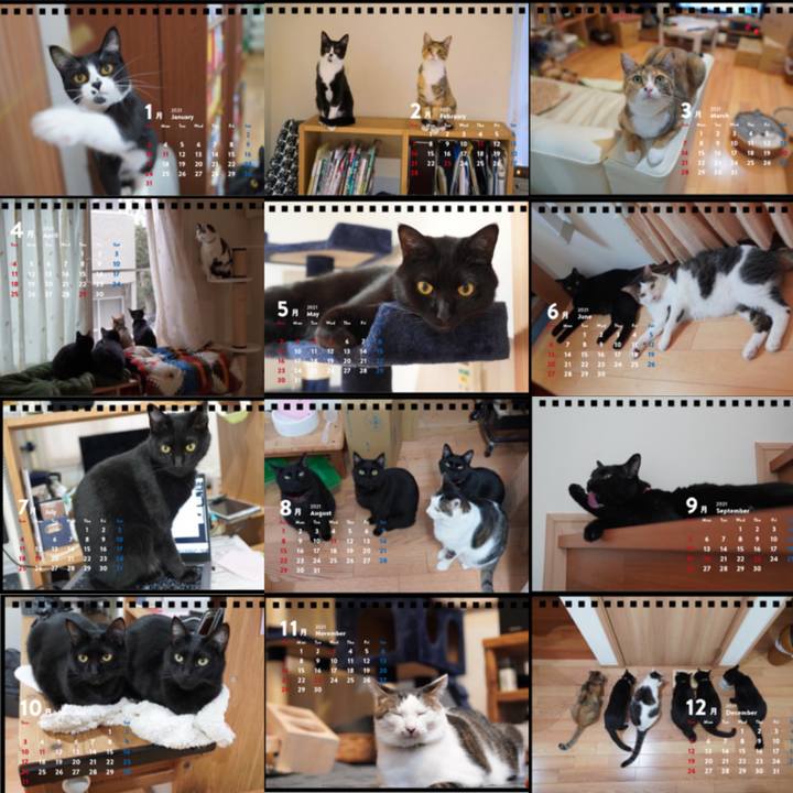 F7f19c08 0330 4f3e 85ae d542354a5e69 1602601286958