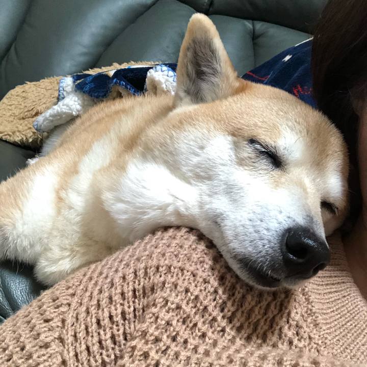 F7f1b651 06eb 4d32 94dc 8df91f0fec2b 1585143225702