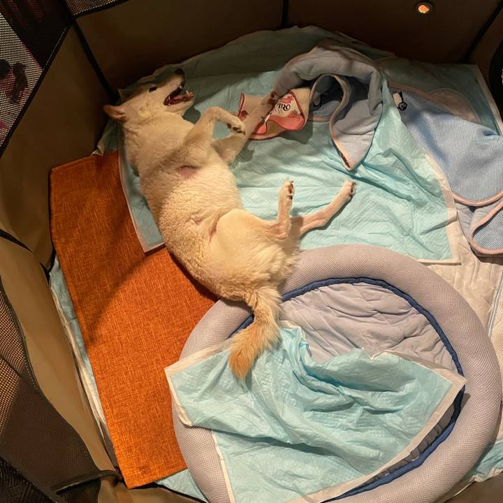 F7f1dd08 b61e 4abe a370 dc8186323b89 1666696765271