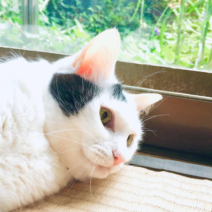 F7f1fd7b 60cf 4f11 9dca 83f65bff5b96 1560912858009