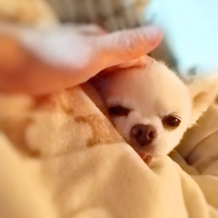 F7f1fd87 89c5 465f 860d b852baf71213 1616269581561