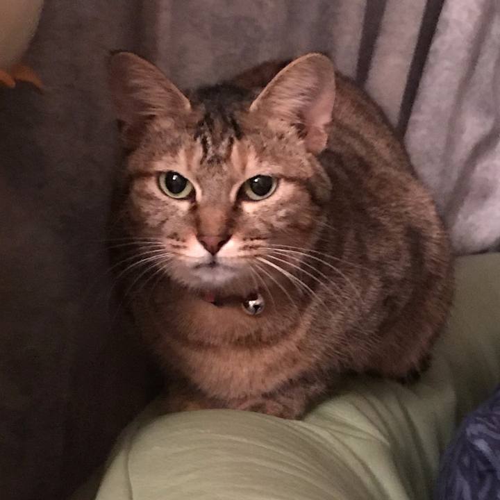 F7f25445 43c6 4909 b5ed ab5d983d6599 1575410487809