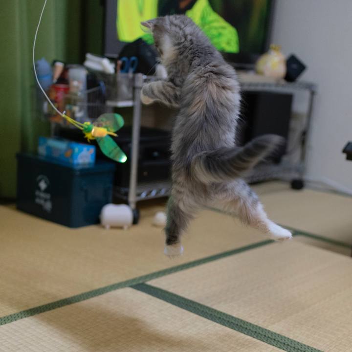 F7f2548b 755a 4724 b3cc 4a1cb9100089 1537358689335