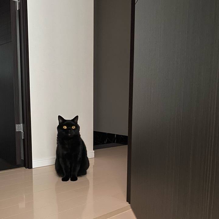 F7f25820 d8c0 402f abfa 189c20743e34 1746916811558