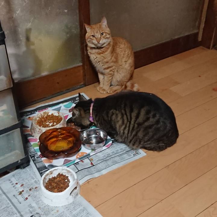 F7f25f37 36b8 4110 b640 5c167c2eef0b 1651613329718