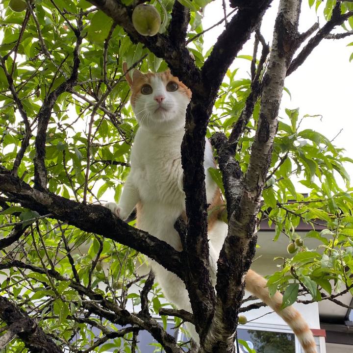 F7f26f23 0985 4f21 ad3a 058d154b0af5 1627344021799