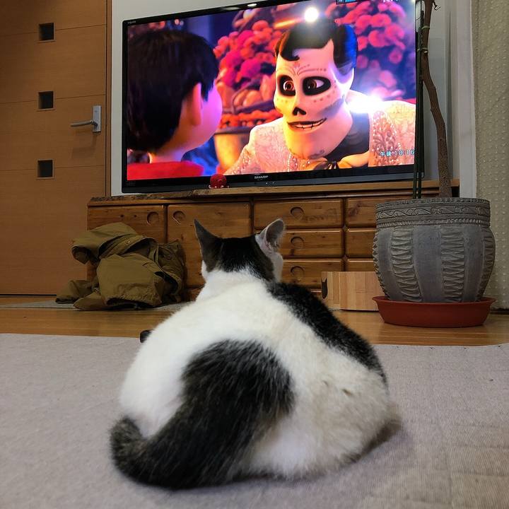 F7f2b6a3 c608 45ce b3d9 cf0bd1fcbf0d 1646399984878