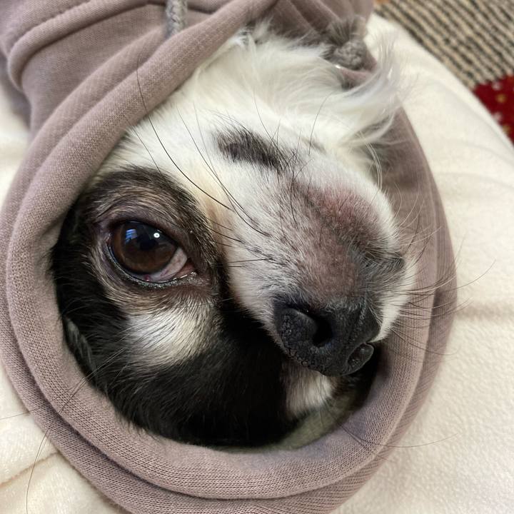 F7f307c8 da20 4e72 a294 3054208d3075 1674919730358