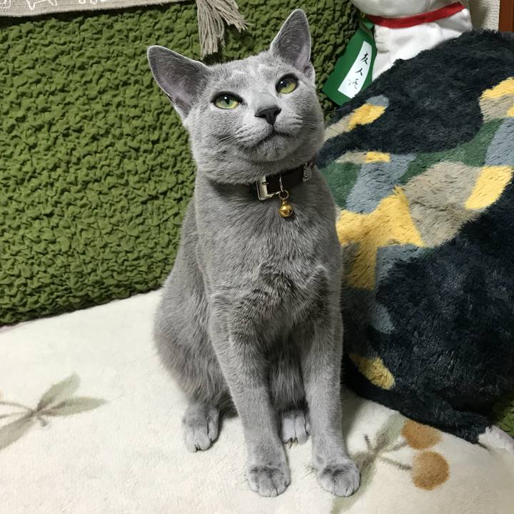 F7f37881 4089 40c4 902b 8a9262766a5f 1517309276997