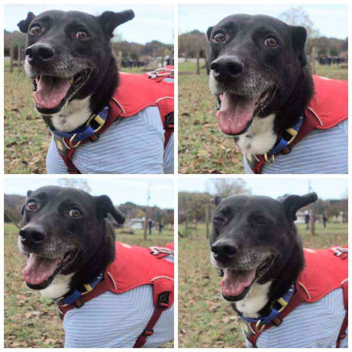 F7f37e78 63eb 42f2 b70b 5ad7366ee051 1669946654431