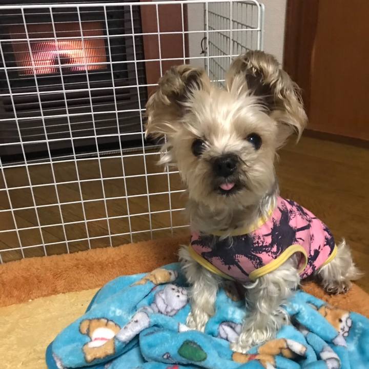 F7f3cd26 46b8 41e4 be6f 8284c2958c15 1576398515965