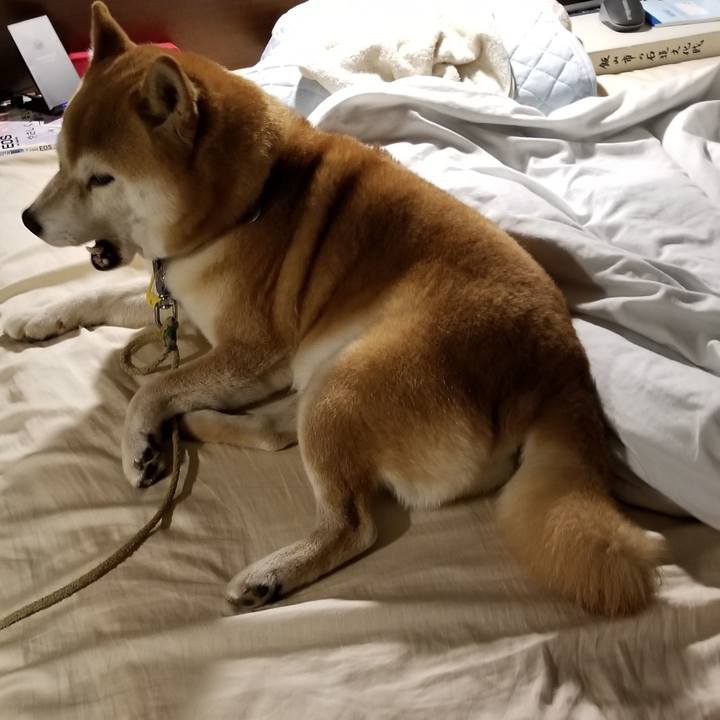 F7f3cf63 df35 4b4f a623 63991eb0c2d6 1569066321409