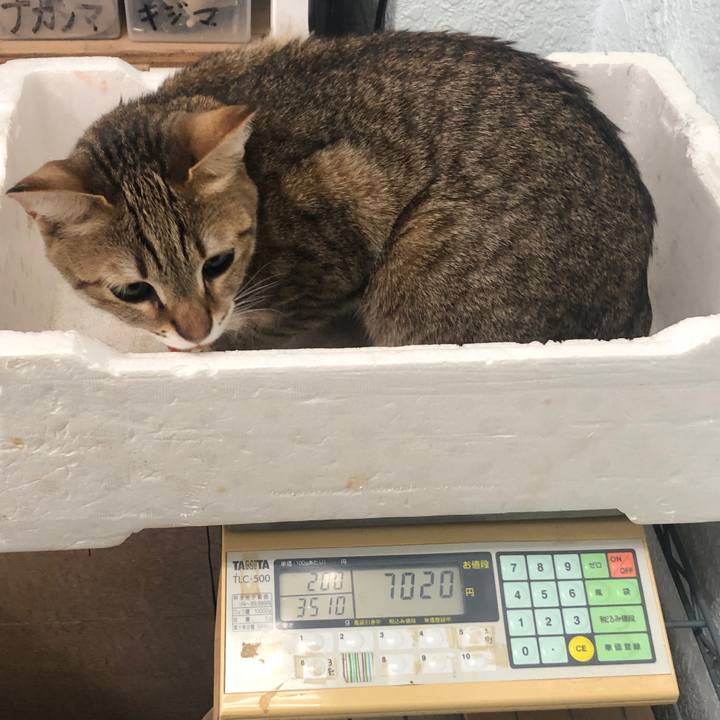 F7f3d97e 09e5 43ab a9e1 fc0867ce3dc5 1648441477729