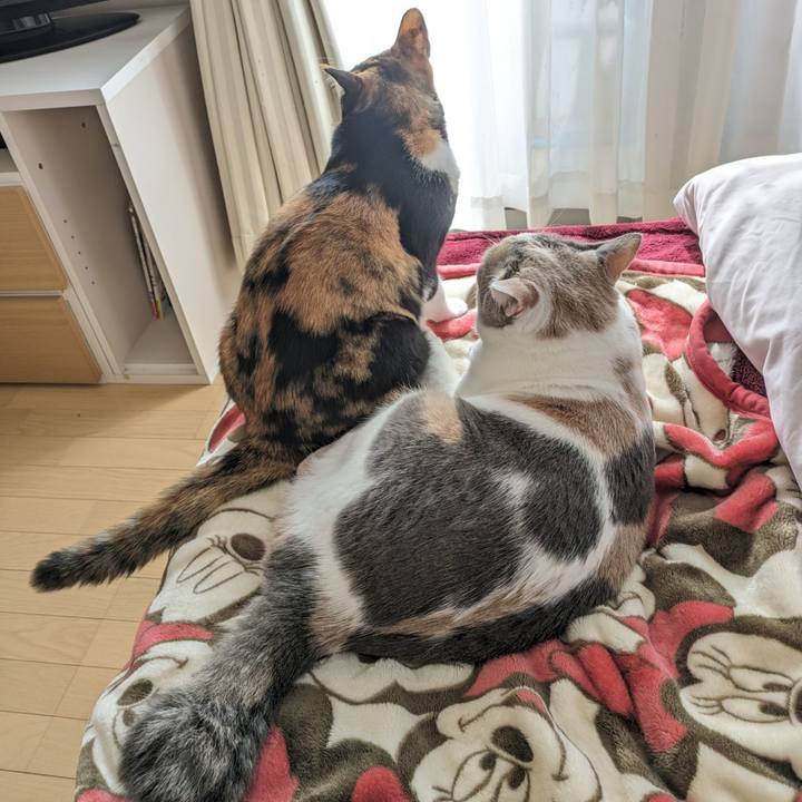 F7f4252b 4ec1 4355 8f27 b7b547e7b0a6 1699072452448