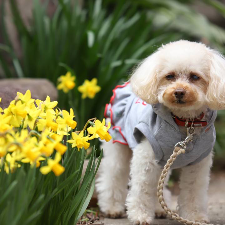 F7f47827 f36a 400c a99e 71fd2d66de3a 1615092359431