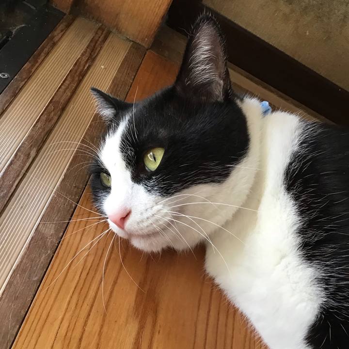 F7f486d0 60a0 47e5 a678 7099df82131f 1721553590696